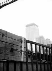 DSC03546BW.jpg