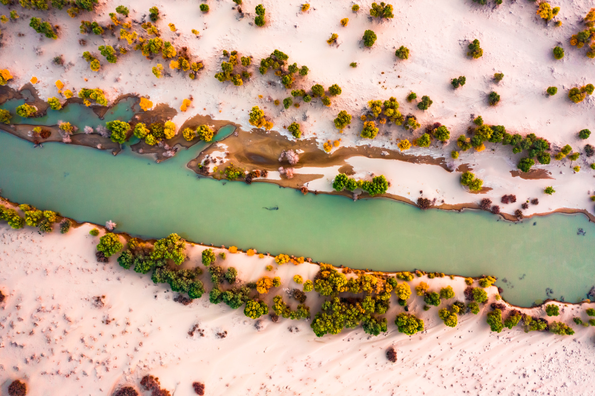 航拍秋天的新疆塔克拉玛干沙漠阿拉干胡杨林 - 青鸟影像 - 图虫