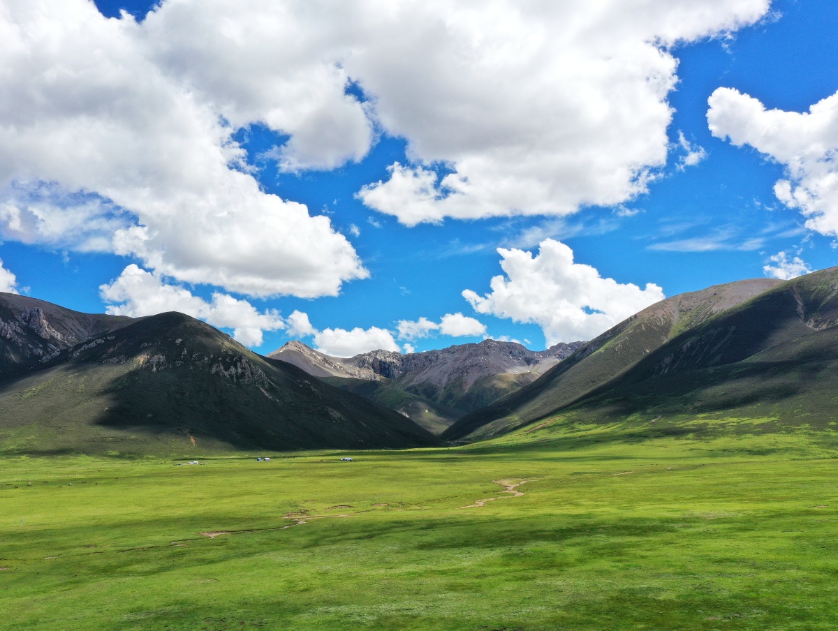 青海玉树草原风光蓝天白云青山绿水最美的时节是七月