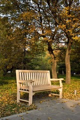 DSC00512.jpg