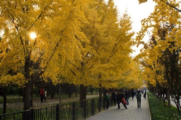 DSC00537.jpg