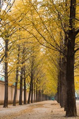 DSC00178.jpg
