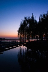 DSC00705.jpg
