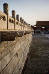 DSC00905.jpg