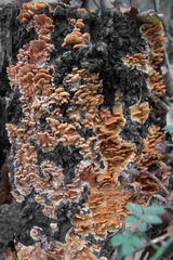 B940043B-4614-40D3-AB2C-71E90BD3C24B/L0/001