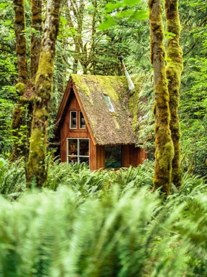 你住过小木屋吗?