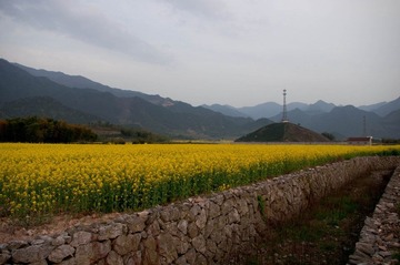 仙居4.jpg