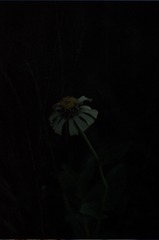 1200F3C8-4F17-4D47-A95E-F09DE535C382/L0/001