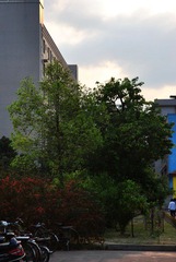 DSC_1002.JPG