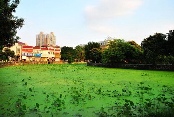 DSC_1018.JPG