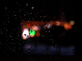 IMG_4175.jpg