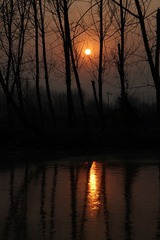 IMG_3727.JPG