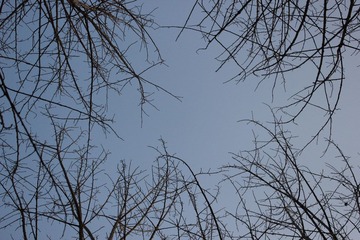 IMG_3687.JPG