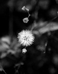 E19DA6BC-39BA-4AEE-BB03-54D37CE9675E/L0/001