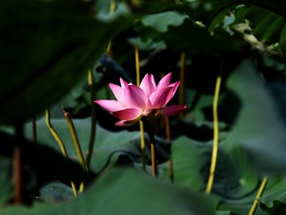 34068A57-7D38-49E6-8BE2-980F07E64A92/L0/001