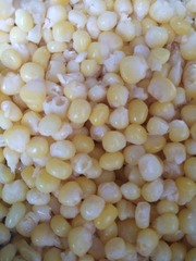 307874