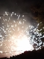 274686