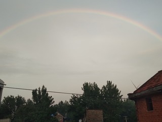 56586