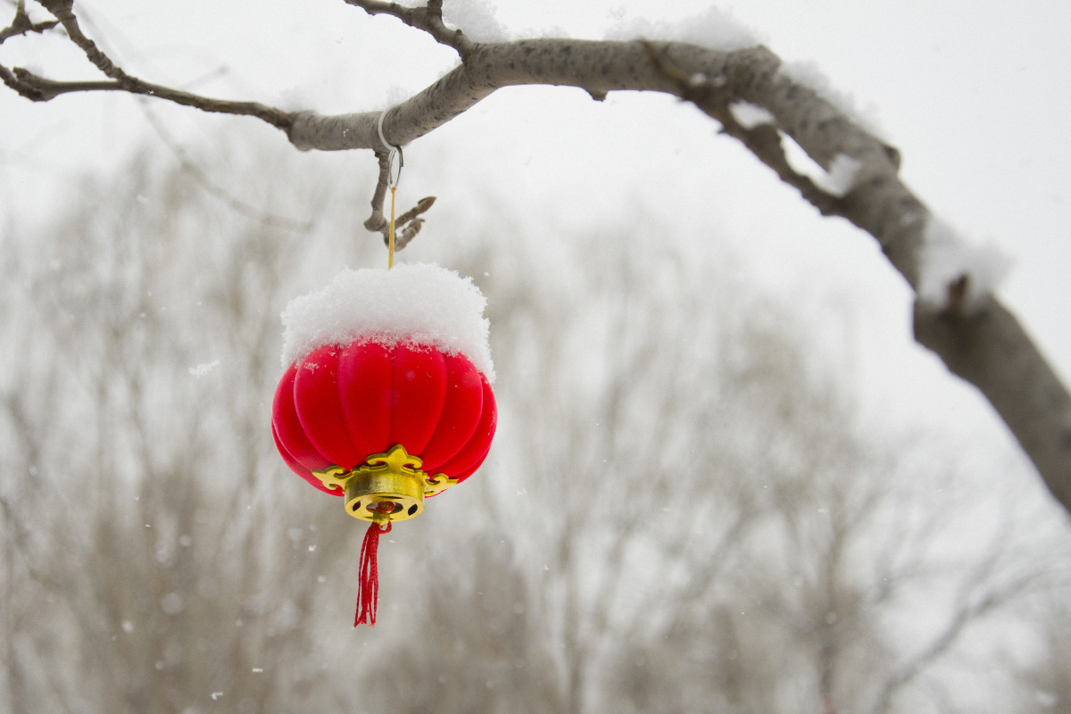 雪中红灯笼雪容融