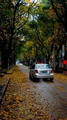 aP3080041_1.jpg