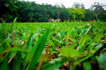 aP3100184.jpg