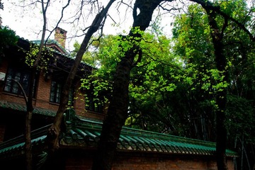 aP3100208.jpg