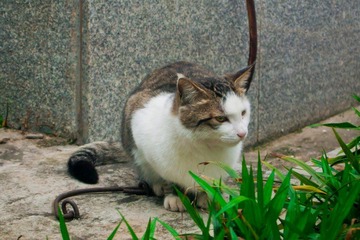 AP3230040.jpg