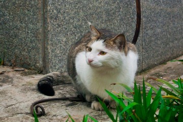 AP3230042.jpg