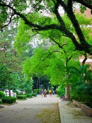 AP3230062.jpg