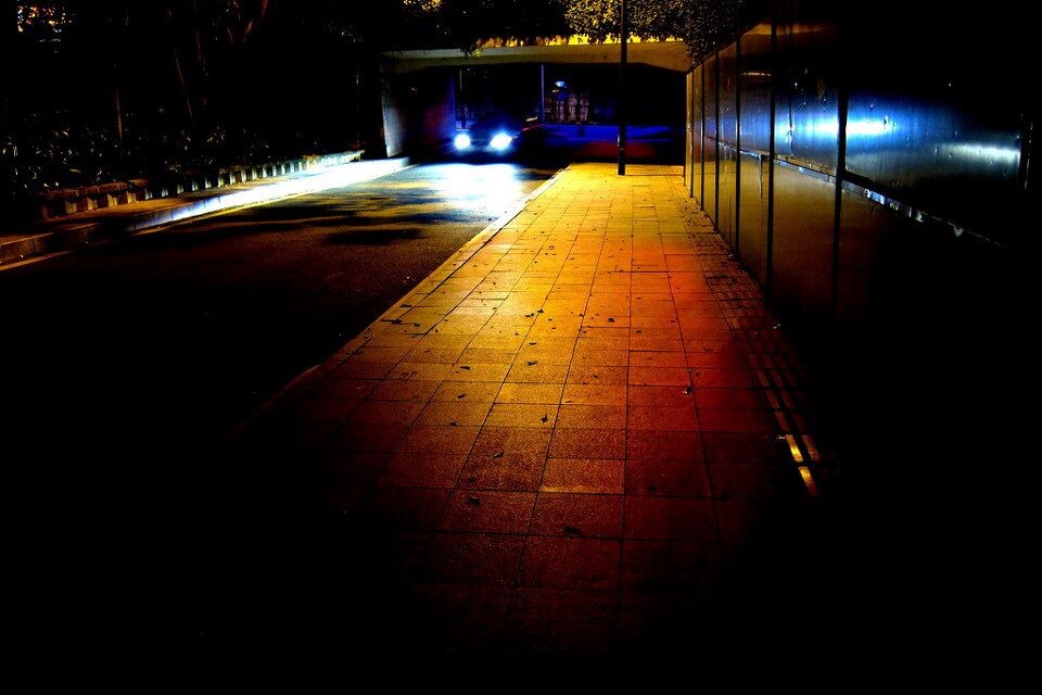 夜<br />
当我走过夜色中的公路桥时，依稀看到暗夜精灵从眼前掠过...