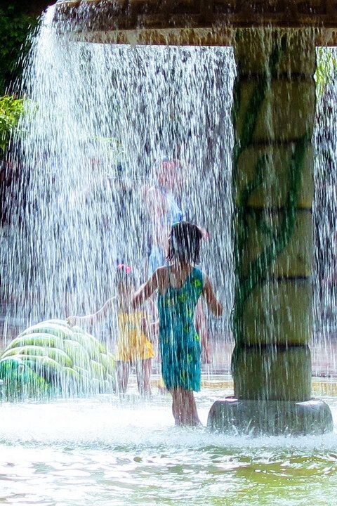 清凉<br />
炎炎夏日，水中嬉戏给人带来一阵凉爽...
