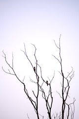 1C09668F-B751-41D6-9F45-E698DF3B9D68/L0/001