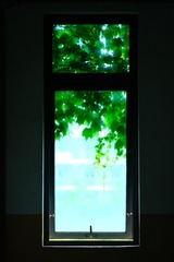 D248222D-CE7D-470E-8FDF-AB114FB3FF9E/L0/001
