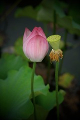 FB87706D-1F11-4B64-AB0F-6247AE507ABF/L0/001