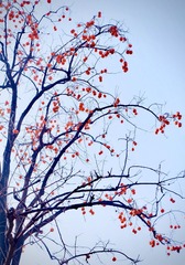 65307953-D0CA-4E9C-972E-823DAC19B81A/L0/001