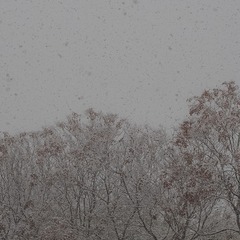 7DC7D167-6603-4FE5-AC2B-8AC0373024C9/L0/001