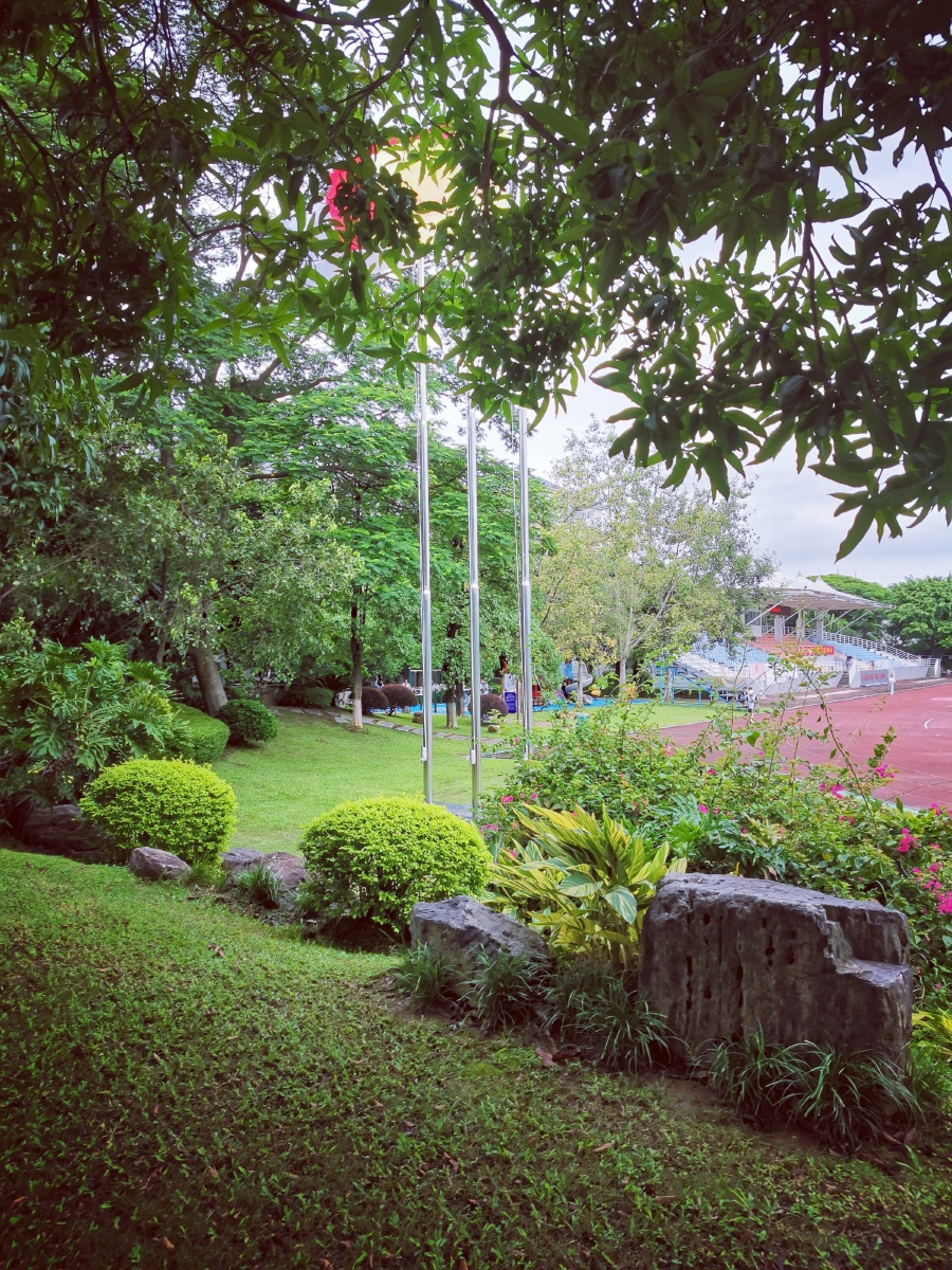 宁静美好的校园