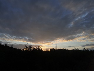 2543126