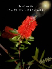 C8903817-3E46-4996-8588-3E997BB7DE19/L0/001
