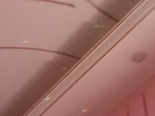 278804