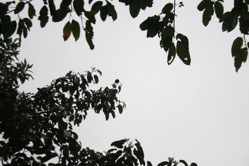 _MG_8078.jpg