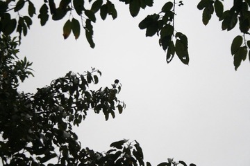 _MG_8080.jpg