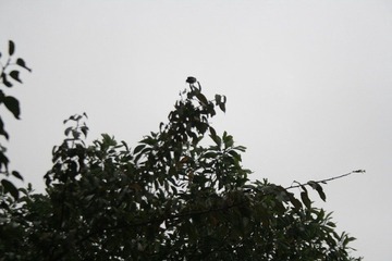 _MG_8082.jpg
