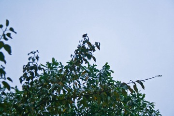 _MG_8085.jpg
