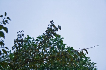 _MG_8086.jpg