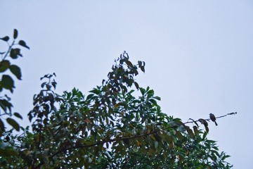 _MG_8087.jpg