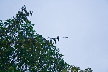 _MG_8090.jpg
