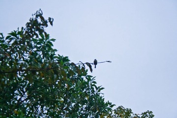 _MG_8091.jpg