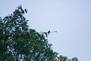 _MG_8092.jpg