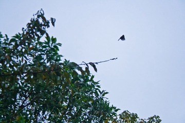 _MG_8093.jpg